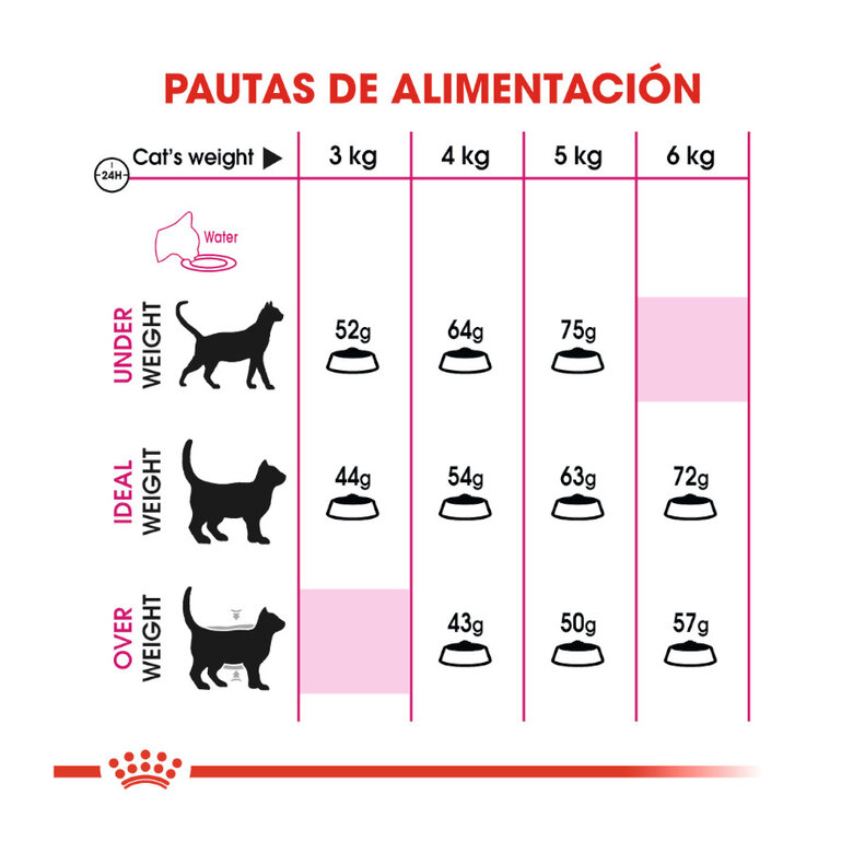 Royal Canin Adult Exigent Aroma pienso para gatos, , large image number null